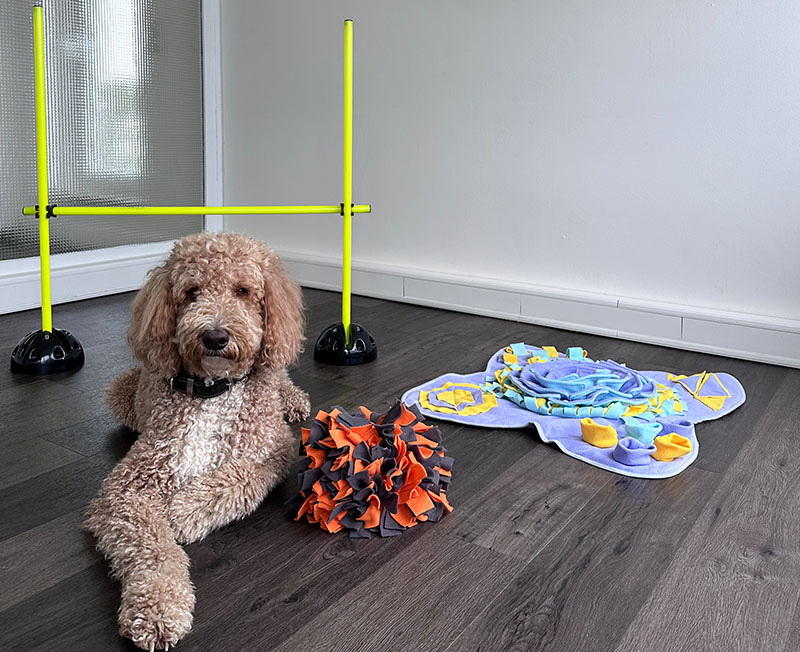 Neuropsychologische Praxis Dr Vohn