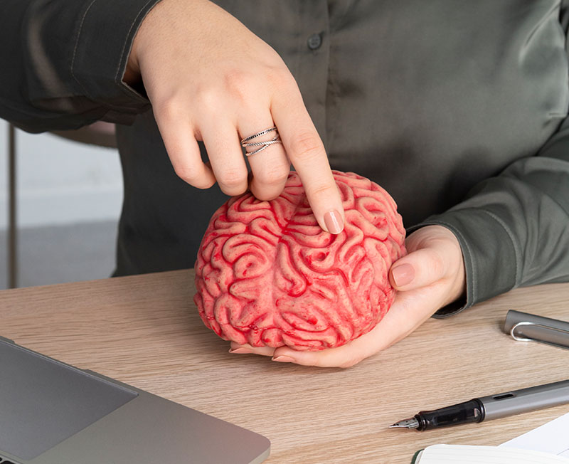 Neuropsychologische Praxis Dr Vohn