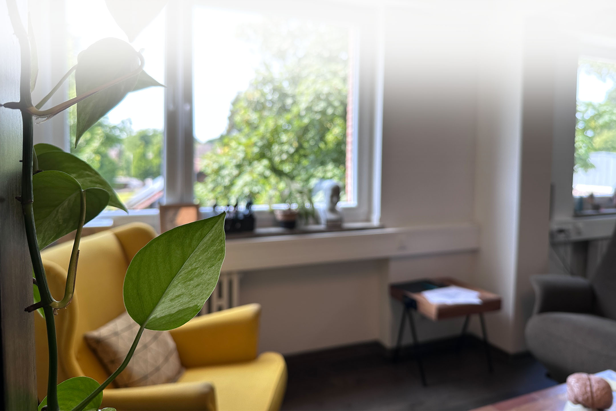 Neuropsychologische Praxis Dr Vohn